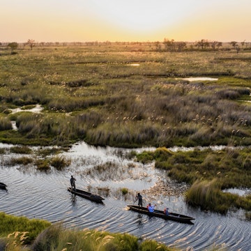 A guide to Botswana; Africa's best safari destination